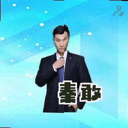 秦敢